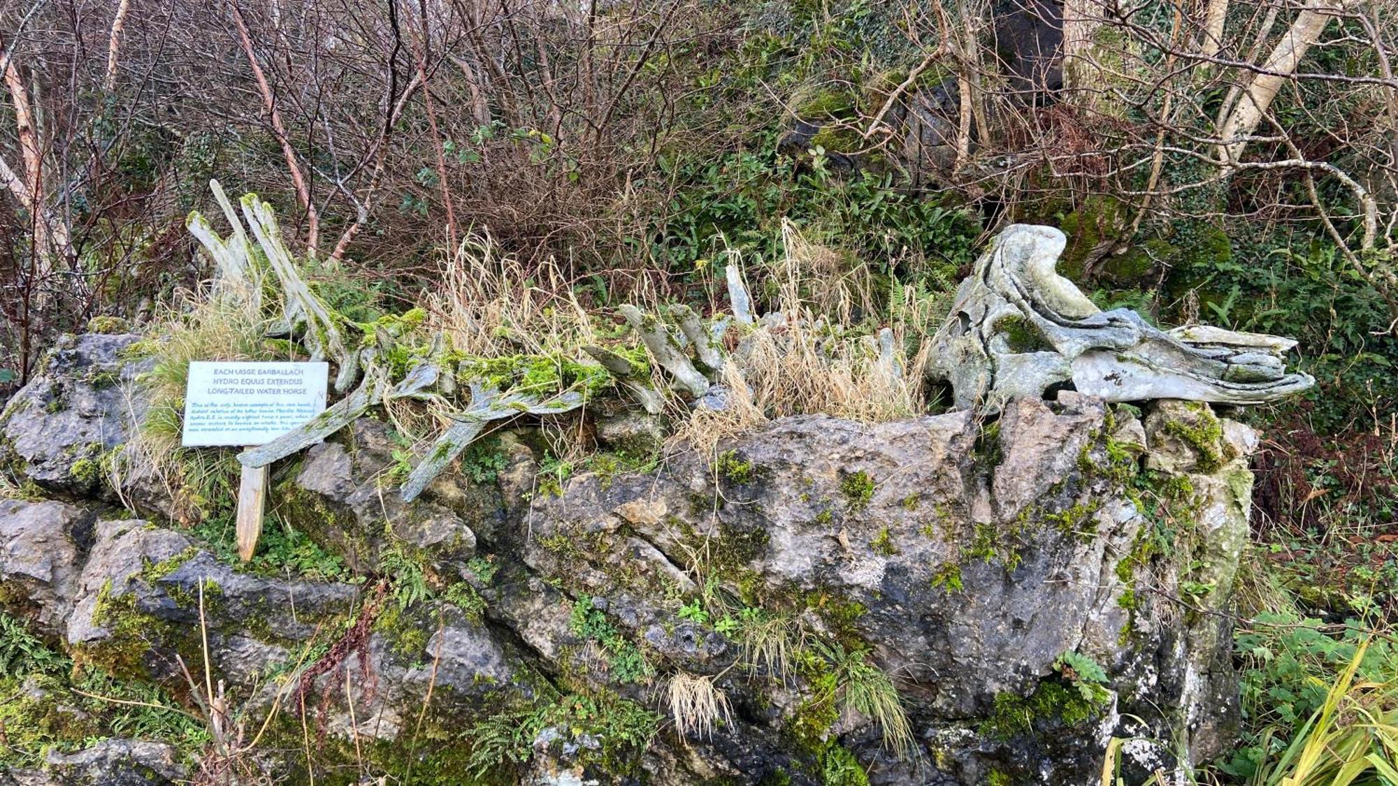 Breakish Carnmhor, Isle Of Skye - Stunning 242 Year Old Cottage On Its Own Sea Shore! מראה חיצוני תמונה